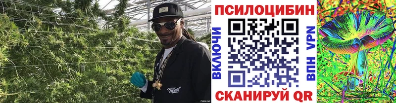 Галлюциногенные грибы GOLDEN TEACHER  Яровое 